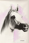 Arabian horse 3 by kizzychan
