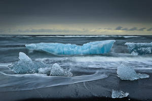 Icebergs on the Beach