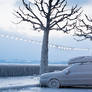 Frozen Car, Versoix