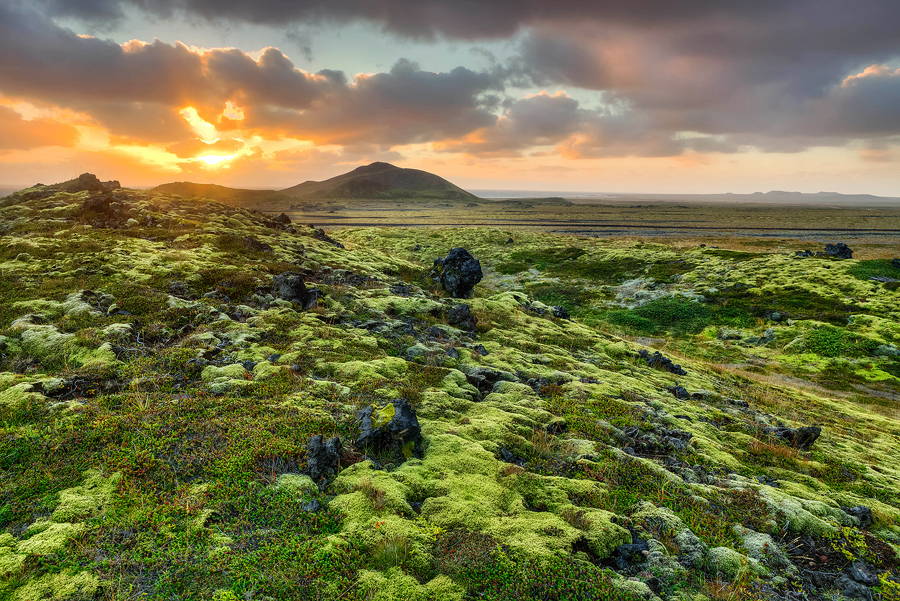 Lava Field Sunset