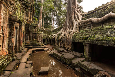 Ta Prohm Temple