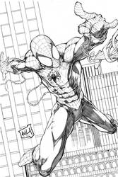 Spiderman 2013 pencils