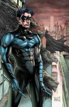Nightwing 2014 Colors Blue