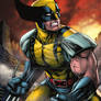 Wolverine2014colors
