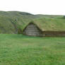 Viking house 1