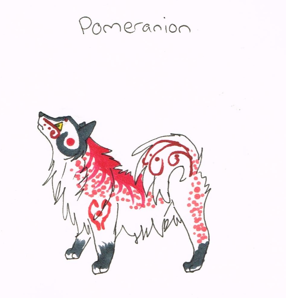 Pomeranian custom for Badsatsuma