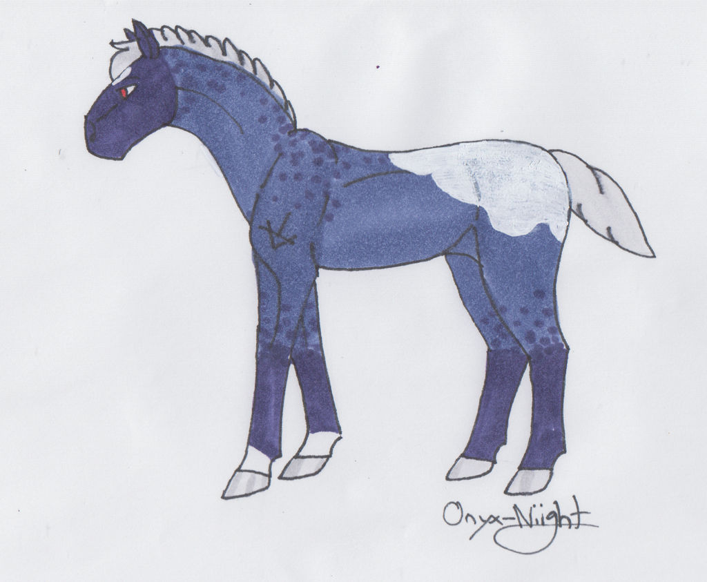 Valorteen foal design