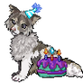 Birthday contest entry