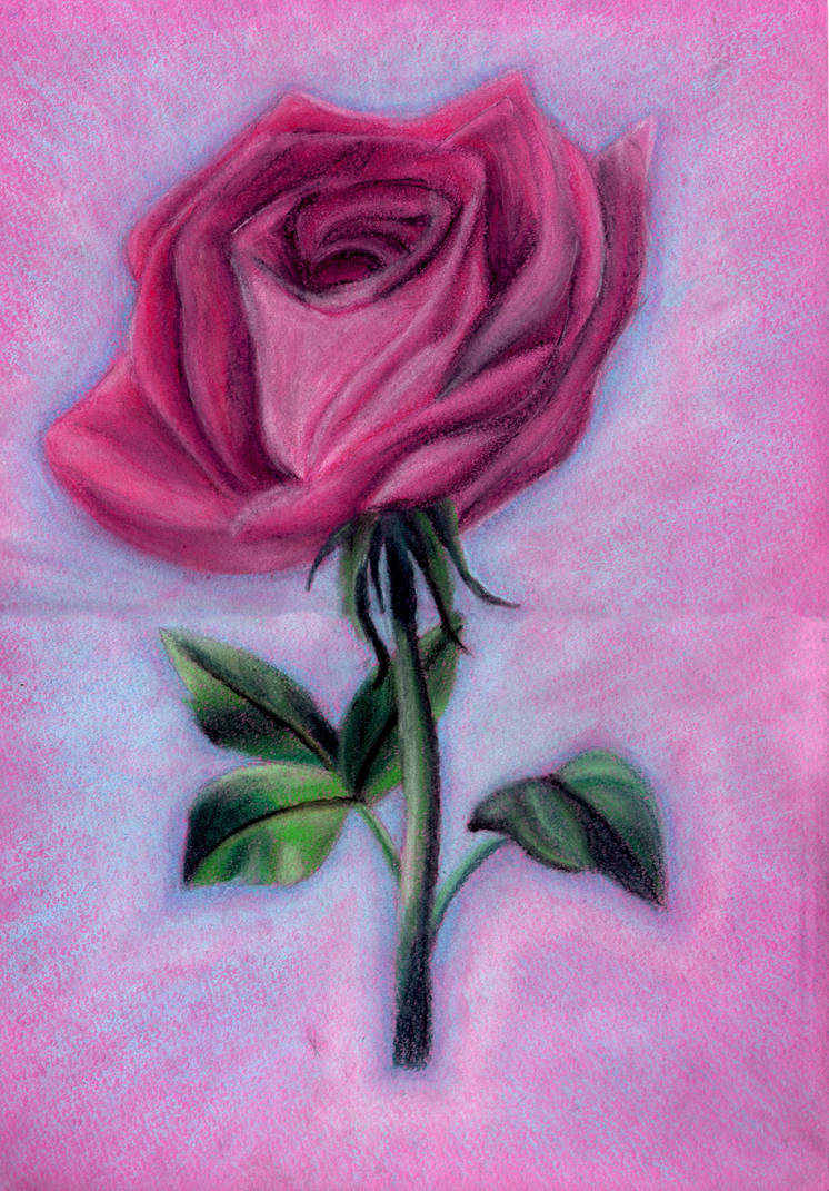 rose by AvaloraArt on DeviantArt