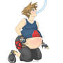 sora hose inflation