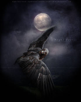 Night Terror