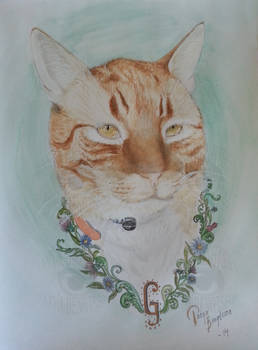 Gustav von Cat - Portrait