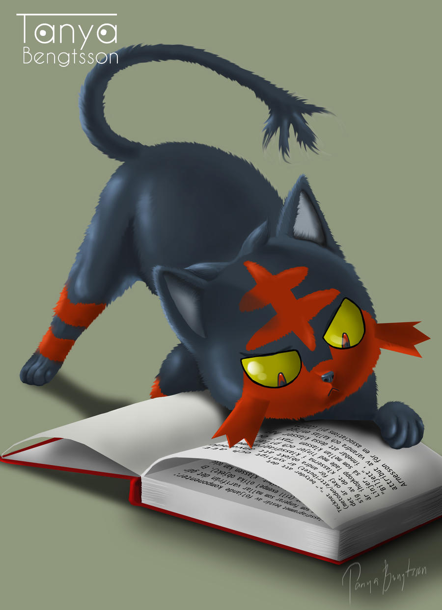 Litten Picture Pokemon - Litten by RaggedVixen on DeviantArt