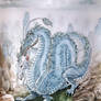 Asian Dragon