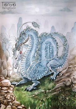 Asian Dragon
