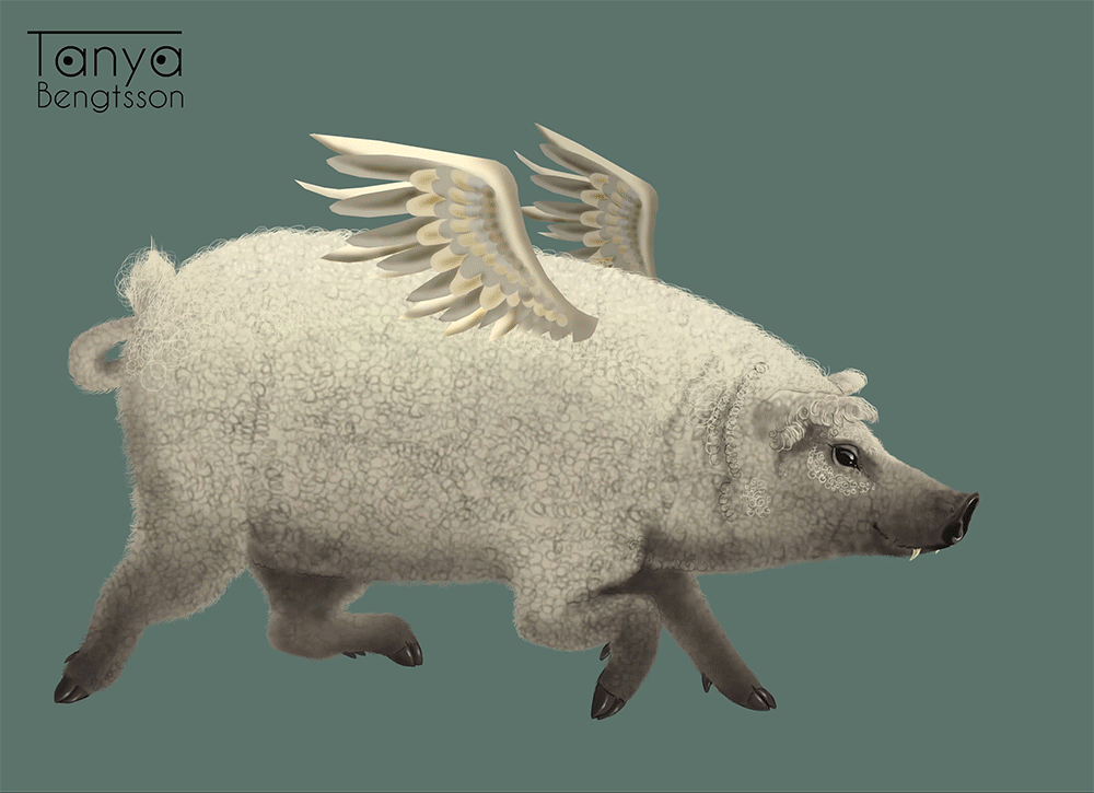 dc0hjgu-ca56d514-bed1-4edf-b25a-25e71b47791b.gif