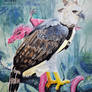 Harpy eagle and dragon