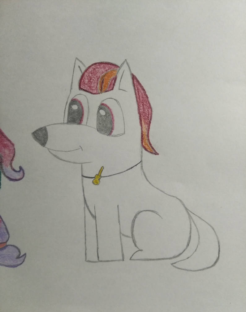 Draw Rocky Riff Dog by TomArtista on DeviantArt