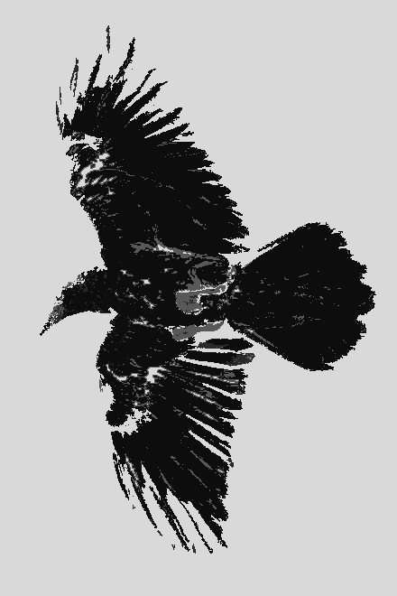 The Raven