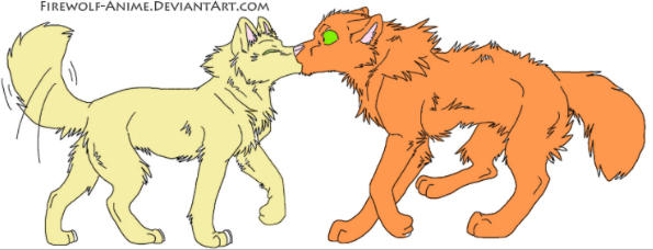 wolf sandstorm and Firestar kiss