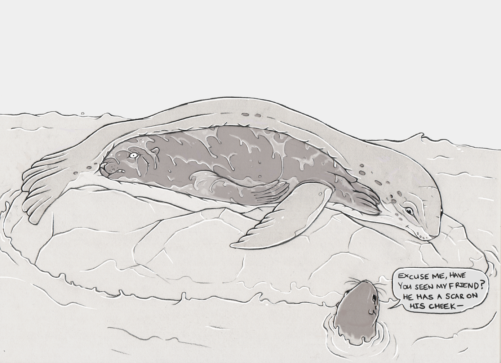 Leopard seal and sea lion 2 by Greedywoozle on DeviantArt