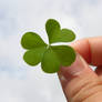 Four Leaf Clover