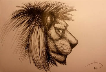 Lion Head Profile | Study