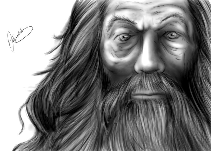 Gandalf The Grey by AlexOakenshield