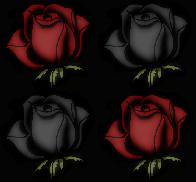 rosa negra y roja by R-I-P-L on DeviantArt
