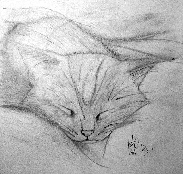 A Simple Kitten Sketch By Stvartak On Deviantart Well you're in luck, because here they come. a simple kitten sketch by stvartak on
