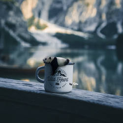 Panda Coffee