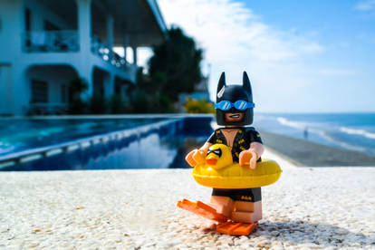 Vacation Batman