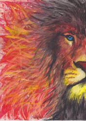 the fiery mane of the lion