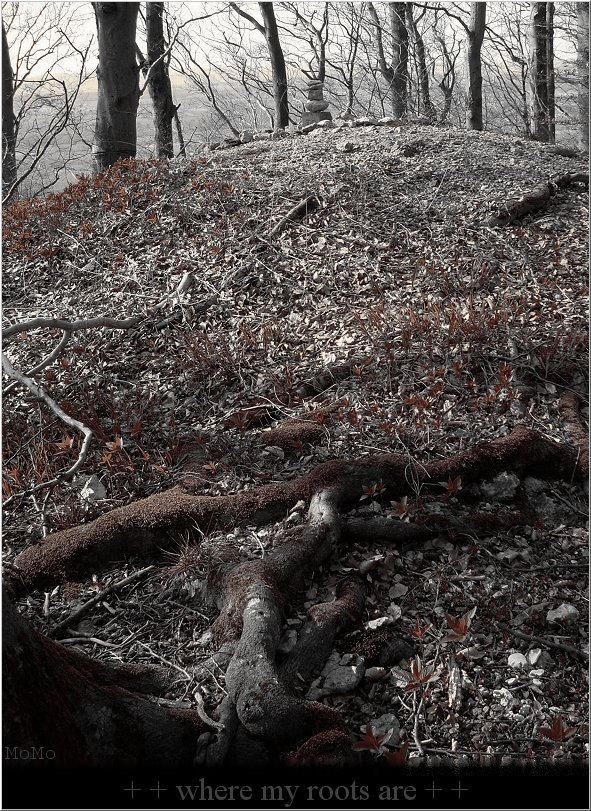 roots by MoMooh on DeviantArt