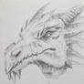Quick Sketch of a dragon