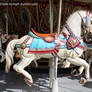 Carousel Horse