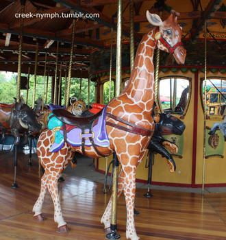 Giraffe Carousel