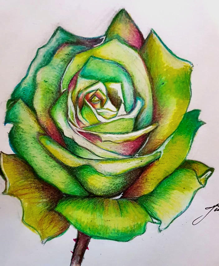 Hand Drawn Green Roses Green Rose by juliezjewel on DeviantArt