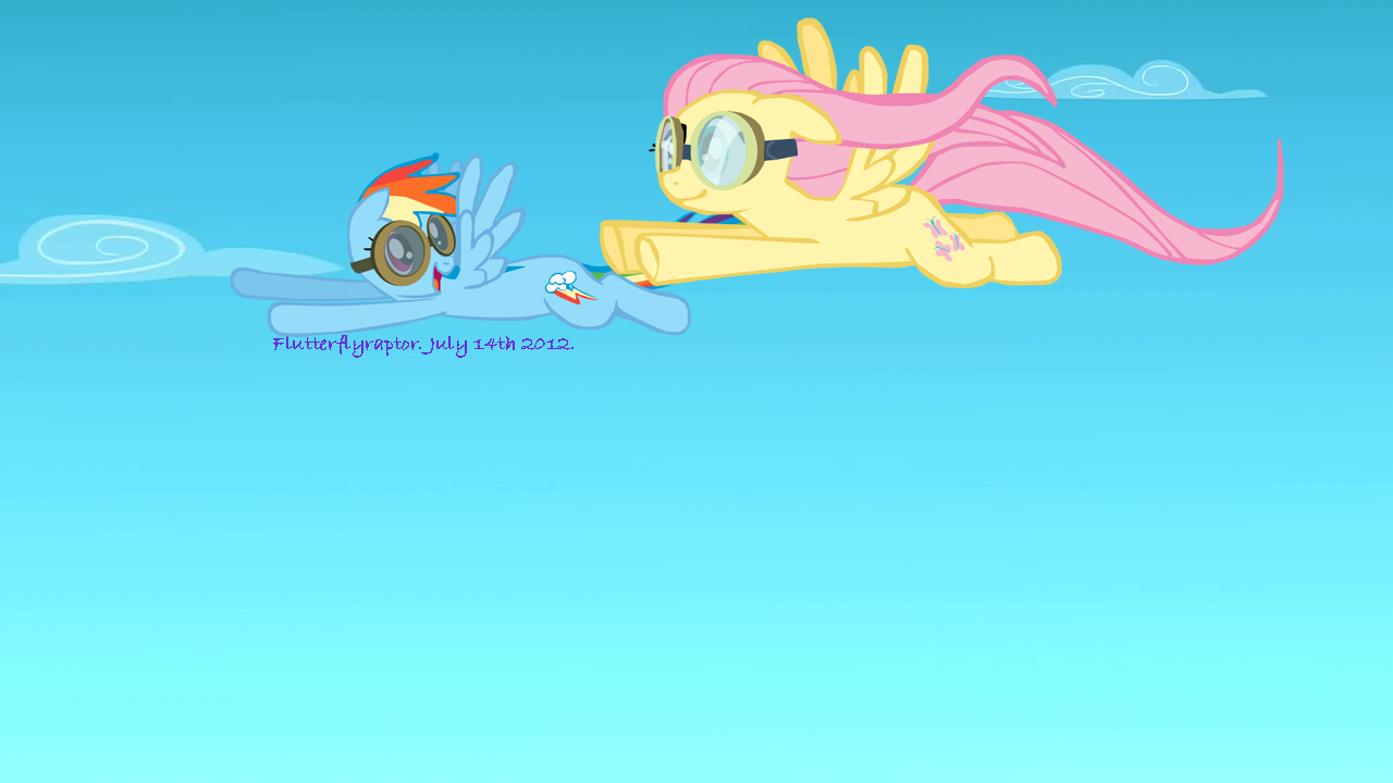 Rainbow Dash trains Fluttershy.