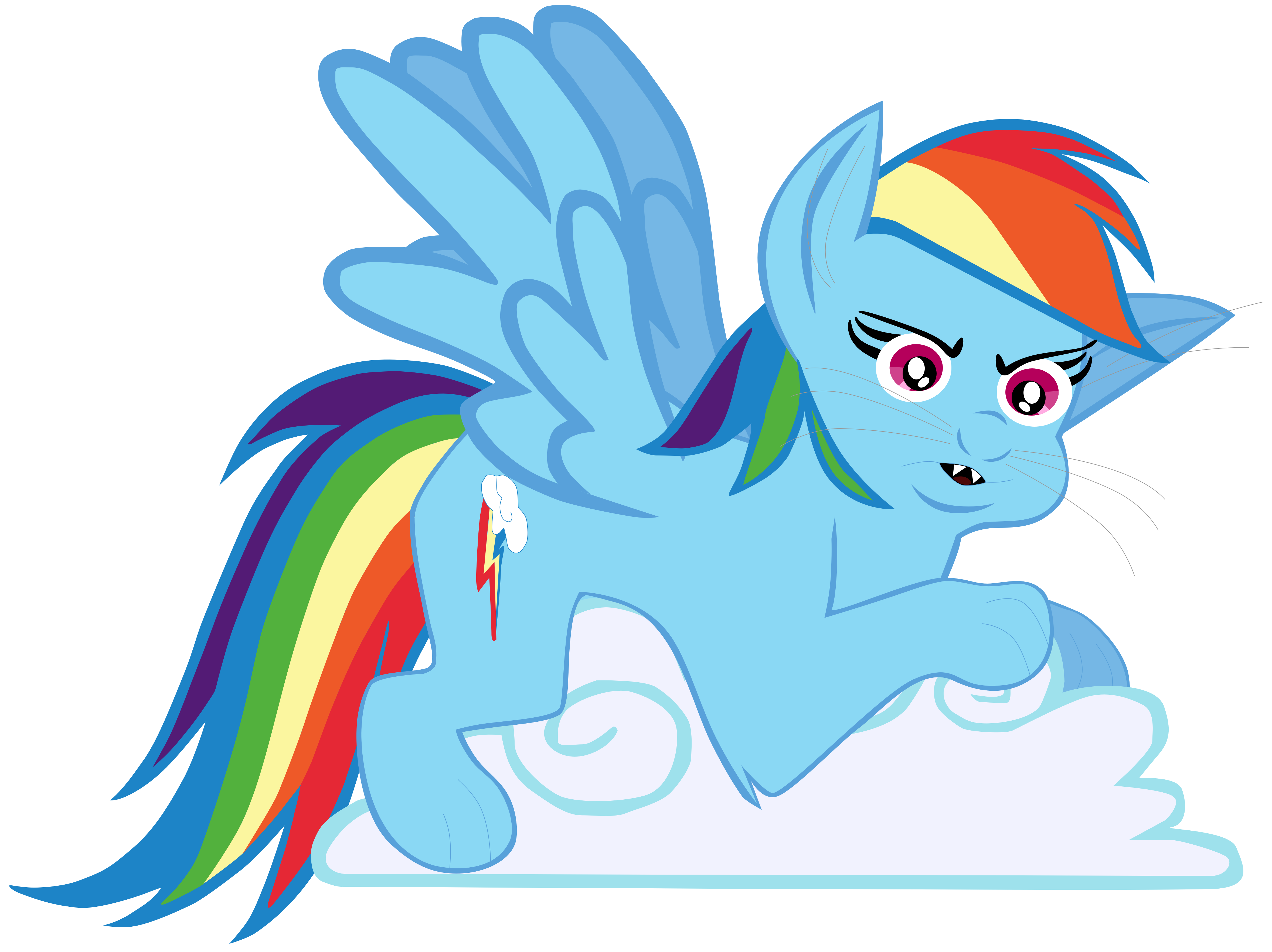 Rainbow Dash, as a flying cat.