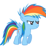 Young filly, Rainbow Dash!