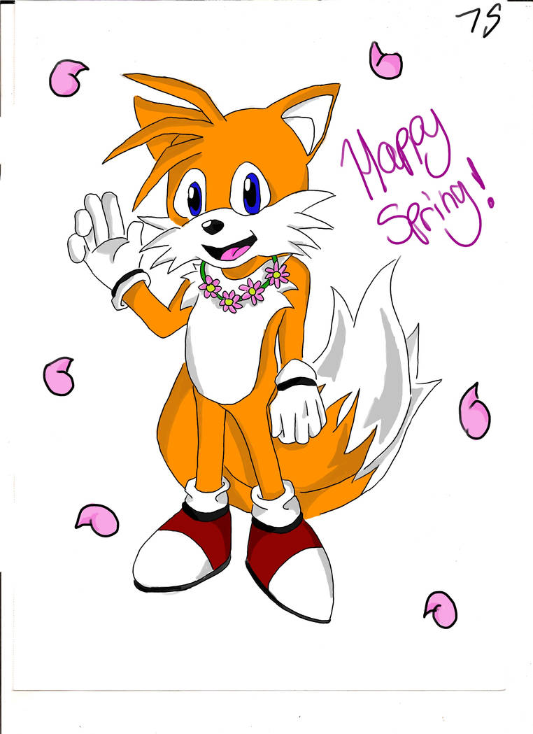 Spring Tails by Stripes-the-Raccoon on DeviantArt