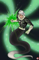 Timewarp: Danny Phantom