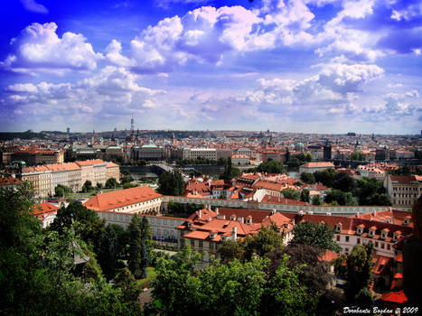 Birds nest Prague