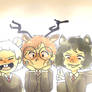 The Marauders