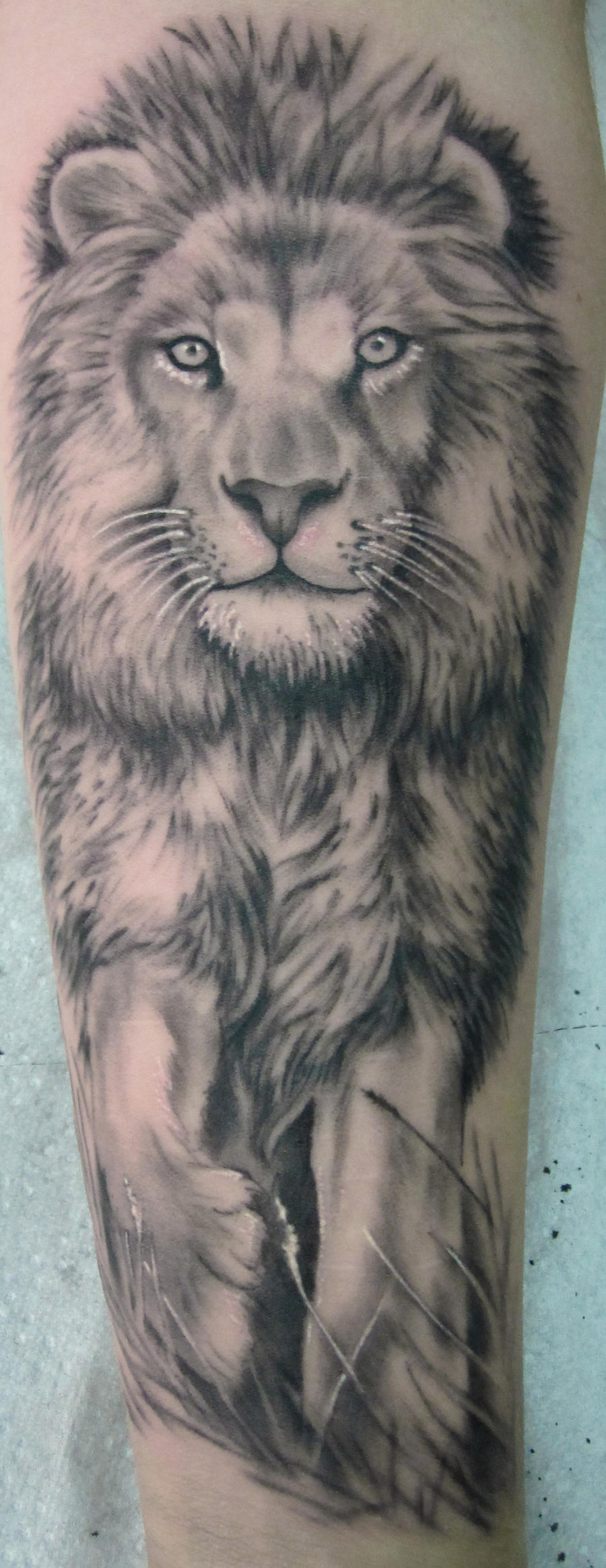 tattoo lion portrait