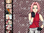 Haruno Sakura by mamucisko