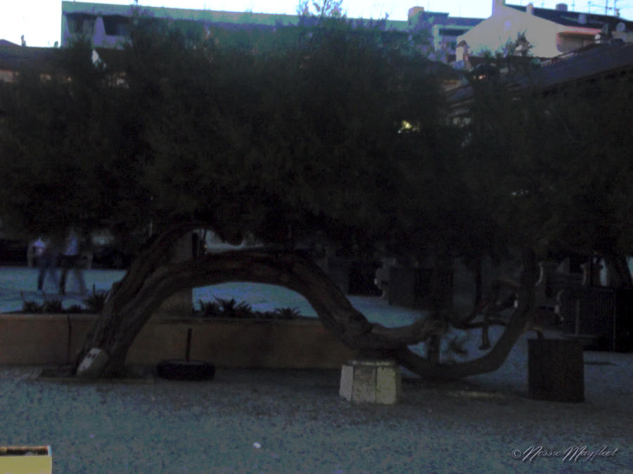 Funny looking' tree by NessieMayfleet on DeviantArt