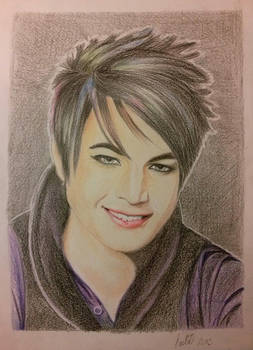 Adam Lambert 2010