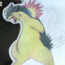 typhlosion